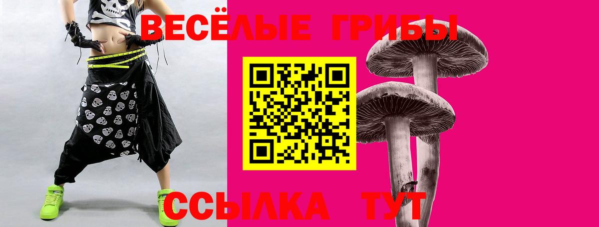 Ростов-на-Дону  Галлюциногенные грибы Psilocybe  Вход с VPN 