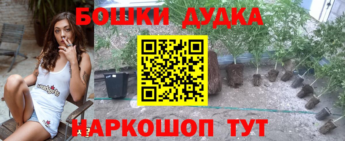 Бошки марихуана ГИДРОПОН Ростов-на-Дону